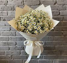 Букет цветов из:  Ромашки в Губарево