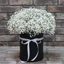 Цветочная композиция из Гипсофила в шляпной коробке в Губарево